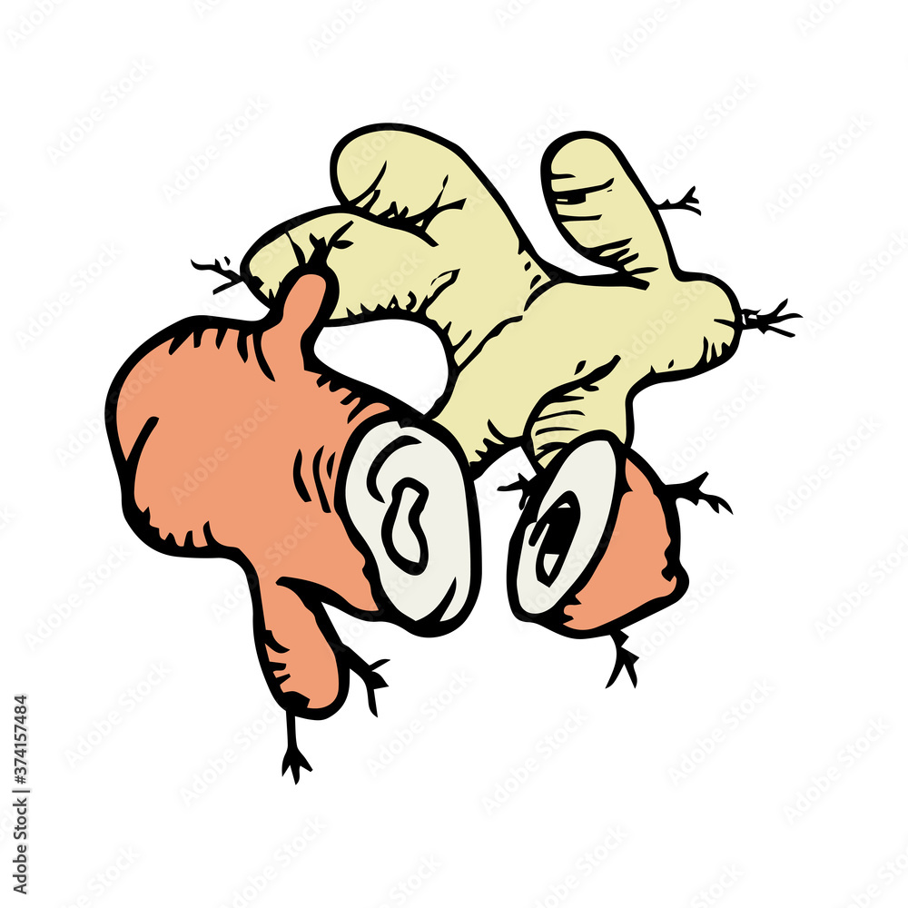 Ginger icon vector hand drawn Ginger icon vector hand drawn