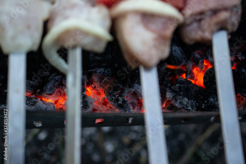 shish kebab on the grill