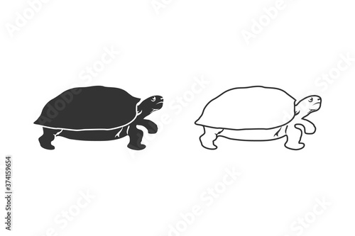 Turtle icon symbol set. Premium quality isolated tortoise element in trendy style. Vector 
