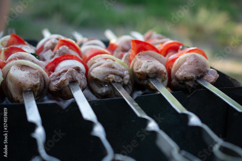 skewers on skewers, fried meat, outdoor recreation