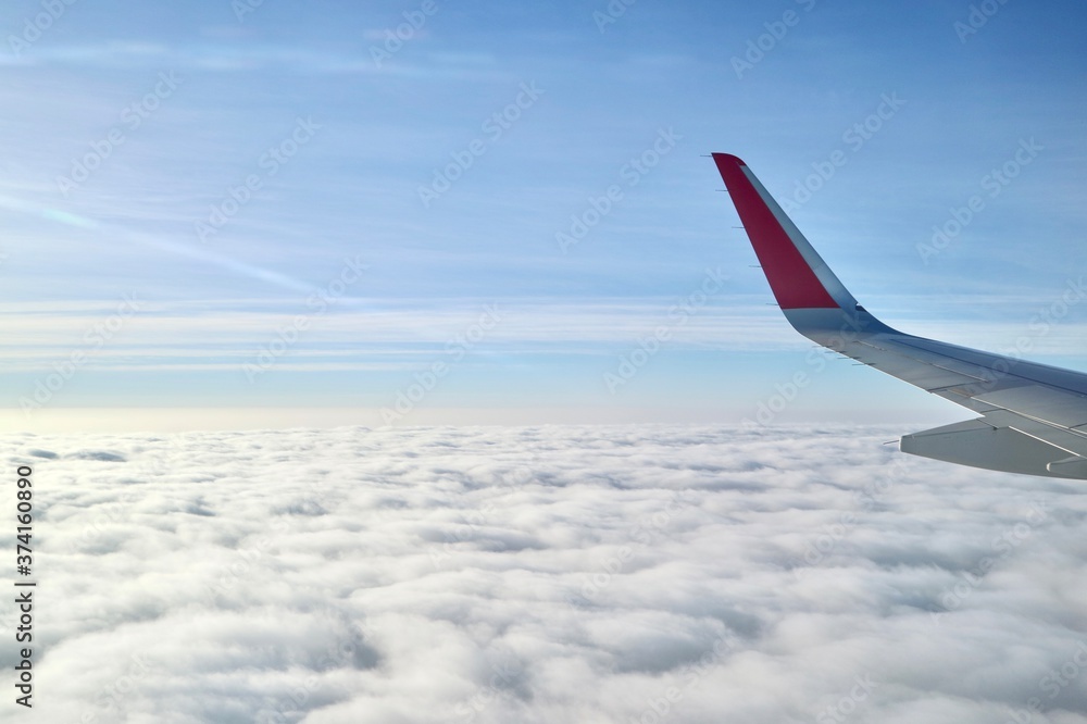 wing of the plane wing of the plane