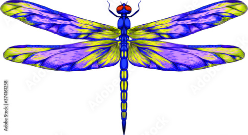 blue purple yellow dragonfly with delicate wings vector illustration 