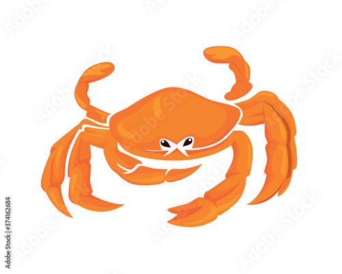 Detailed Bright Crab Illustration