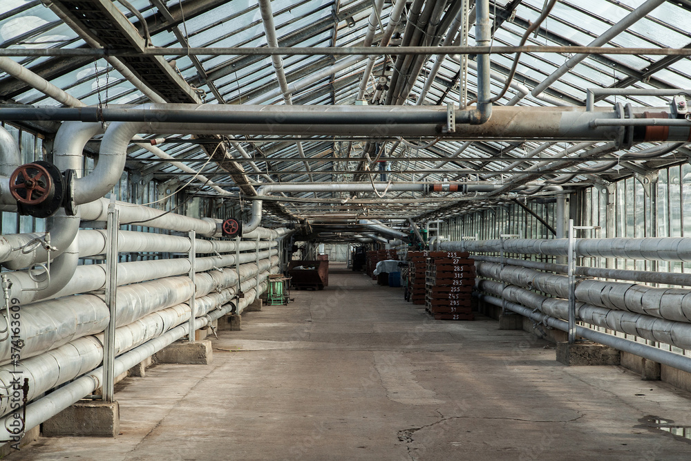 interior of a large industrial greenhouse