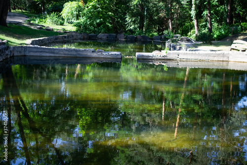 lake in the park