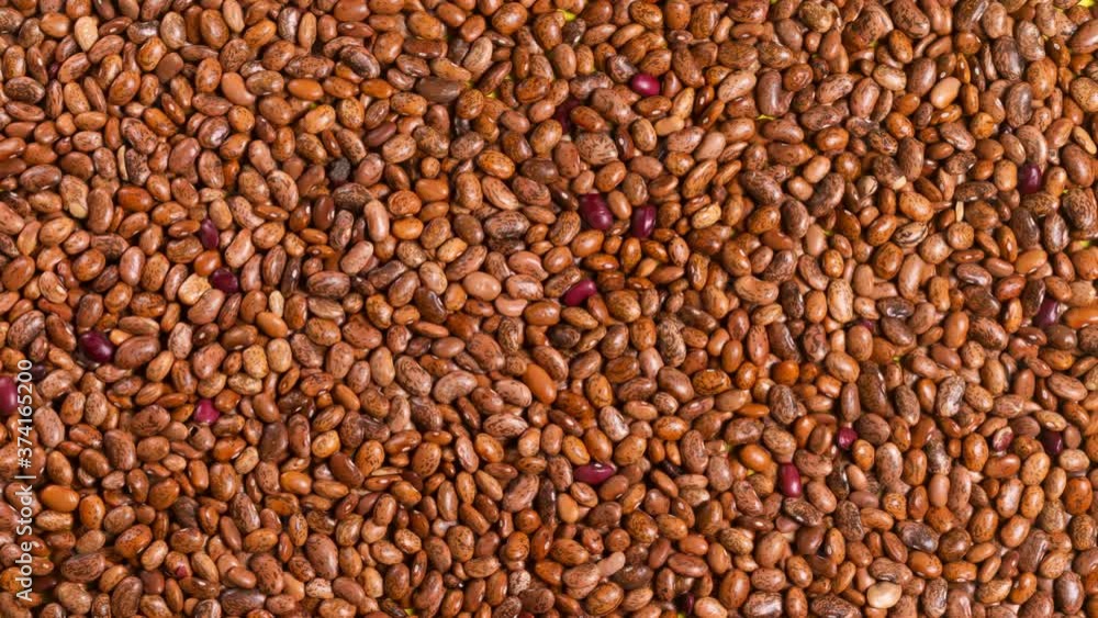 Stop motion brown beans shaking food background Stop motion brown beans shaking food background