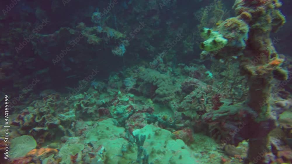 The exterior of a ship wreck in Truk Lagoon, Micronesia The exterior of a ship wreck in Truk Lagoon, Micronesia