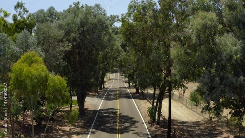 Drone video of a beautiful Tree lined street in California.  photo