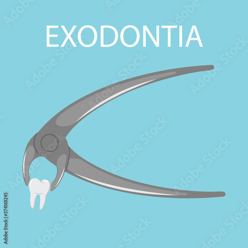 Dental tooth extraction. Exodontia. The tooth in the dental forceps. A white clean tooth is clamped between the forceps. Professional dental instrument. Isolated flat vector illustration.