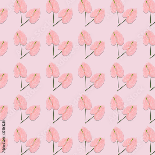 Pattern of pink flowers on a pastel pink background.