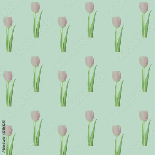 Wonderful pastel pink tulips on a pale green background.