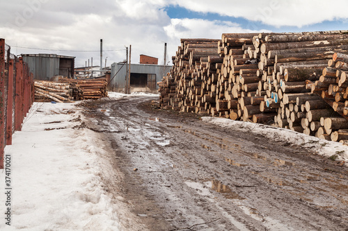 Pile of logs on sawmill