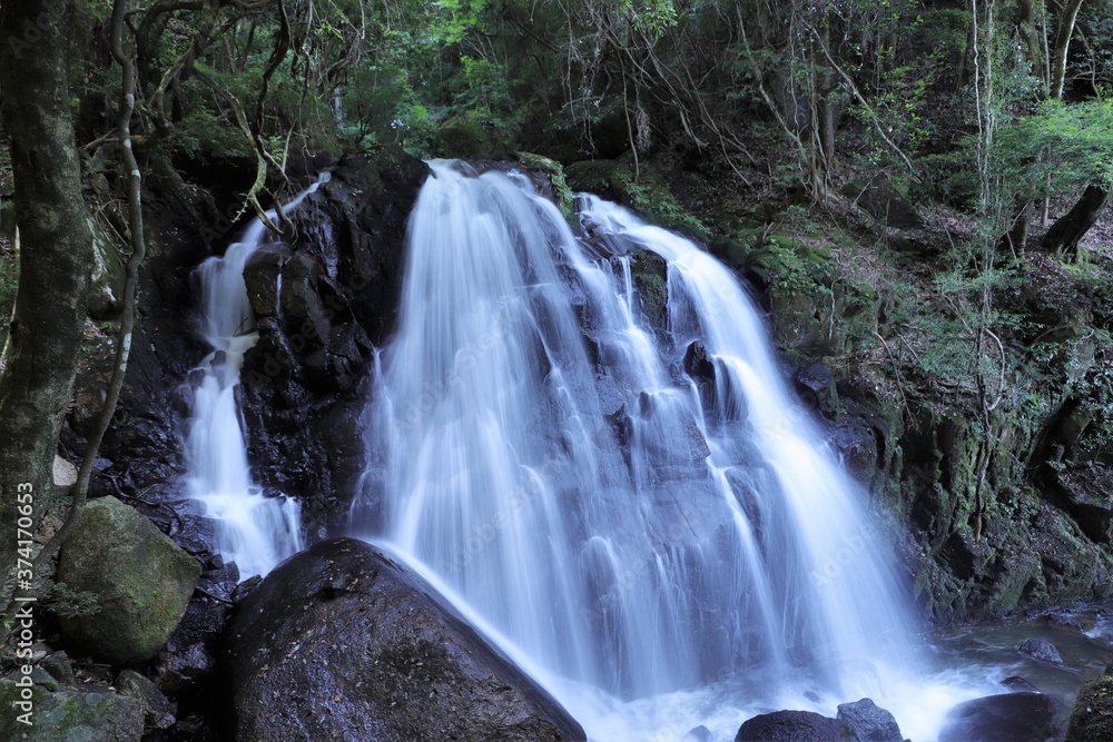 Fototapeta premium 滋賀県 鶏鳴の滝