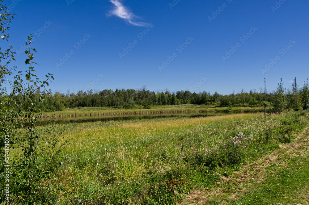 Fototapeta premium Pylypow on a Summer Day