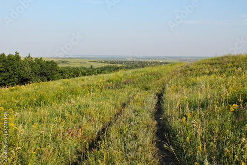path through the field 