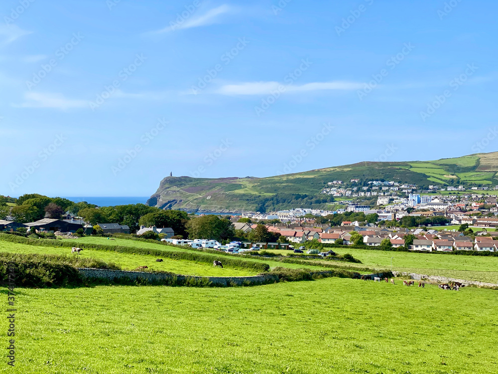 Cattle grazing in emerald green meadows looking towards the beautiful coastal town of Port Erin, Isle of Man