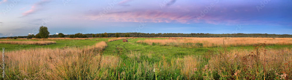 Panorama of the summer field in the evening twilight