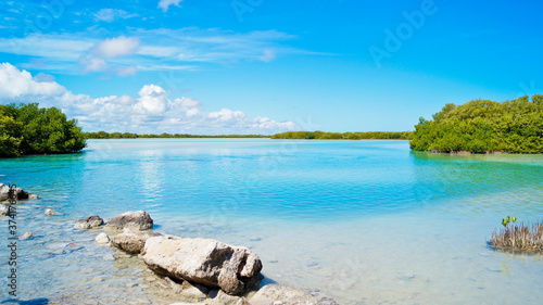 Paisaje, Naturaleza, Playa, Mérida, Yucatán, Cienega, Cenote, Tropical,  © tomas