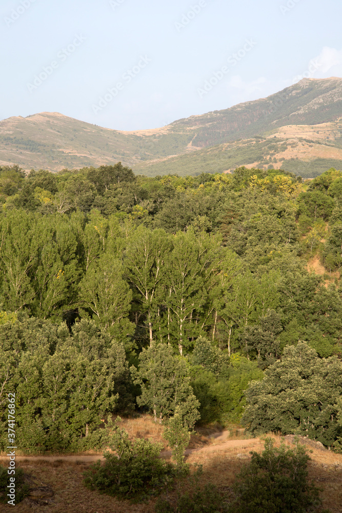 Obraz premium Mountain View near Montejo; Pradena del Rincon; Madrid