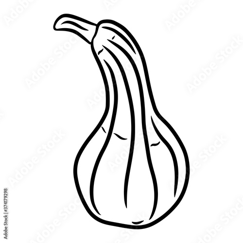 Pumpkin. Hand drawn vector illustration in doodle style, isolated on a white background.