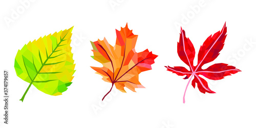 autumn leaves isolated on white background. birch, maple, low poly leaves vector