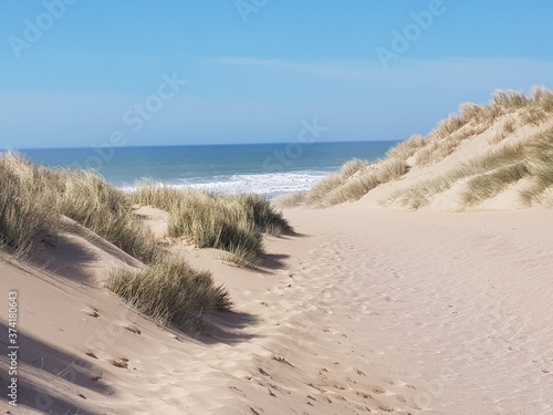 Fototapeta Naklejka Na Ścianę i Meble -  sand dunes in the morning
