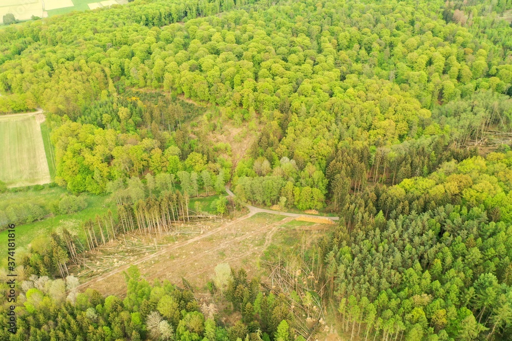 Luftaufnahme Wald mit Brachfeld
