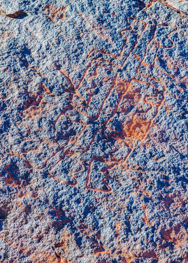 Fototapeta premium Petroglyphs, Talampaya National Park, Argentina