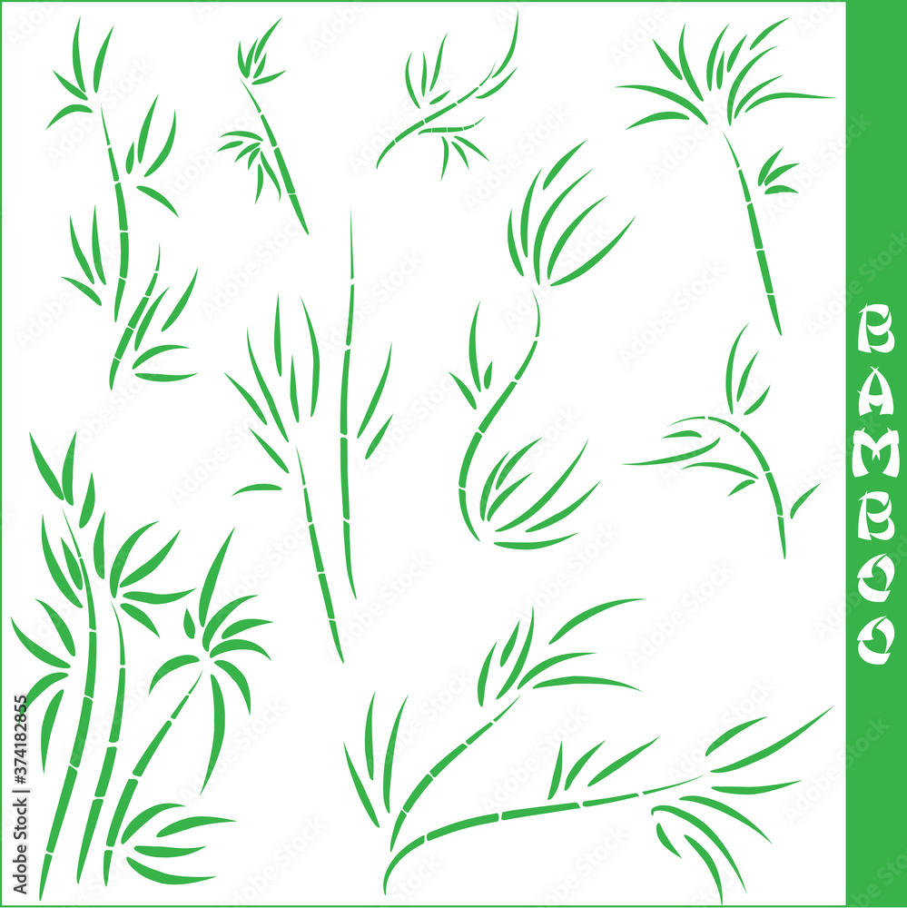 Vector bamboo elements Vector bamboo elements