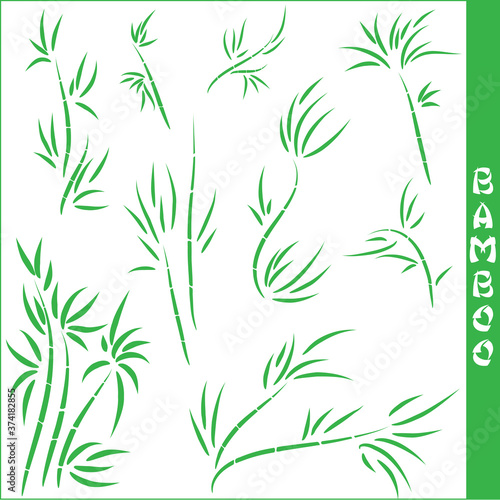 Vector bamboo elements