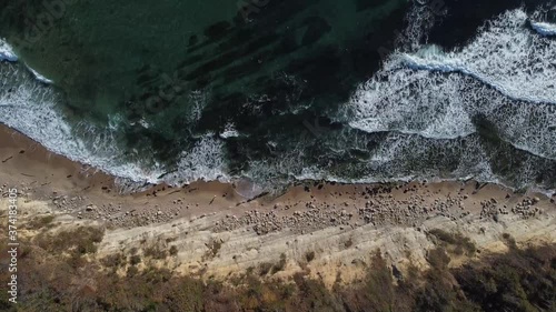 Summer scenes sea and beach shot from the air