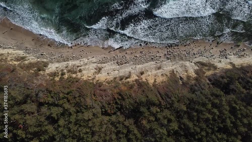 Summer scenes sea and beach shot from the air