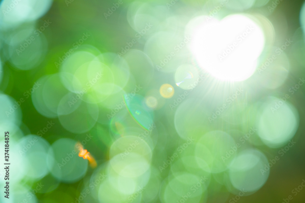 Obraz premium Spring bokeh nature abstract background Green leaves blurred, beautiful in the spring or summer.