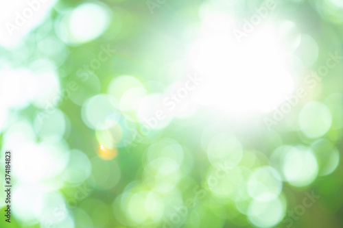 Spring bokeh nature abstract background Green leaves blurred, beautiful in the spring or summer.