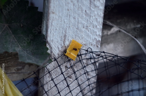 Plastic net nailed to the board photo