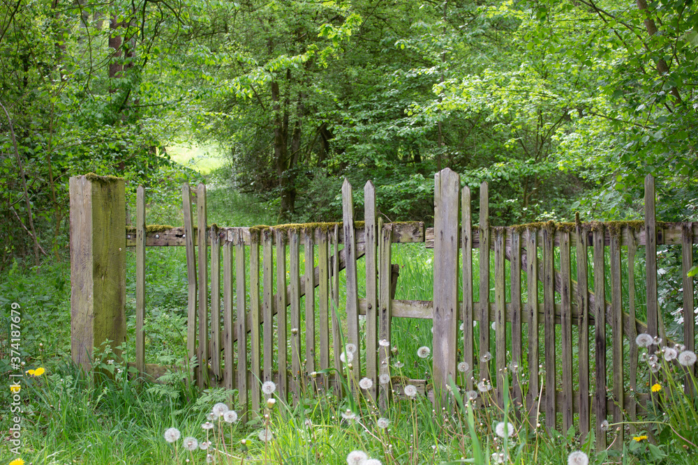 Altes Holztor im Wald Altes Holztor im Wald