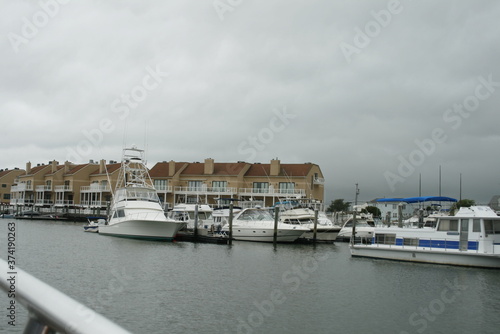 boats in marina