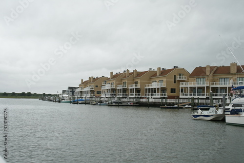 boats in the harbor