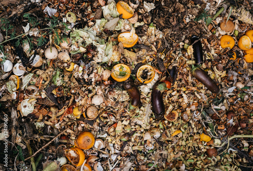Vegetables and fruits rot in the compost pit. Household waste for composting fruit and vegetables in the garden. Colorful compost heap and garbage pit with rotten colored vegetables and fruits.