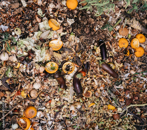 Vegetables and fruits rot in the compost pit. Household waste for composting fruit and vegetables in the garden. Colorful compost heap and garbage pit with rotten colored vegetables and fruits.