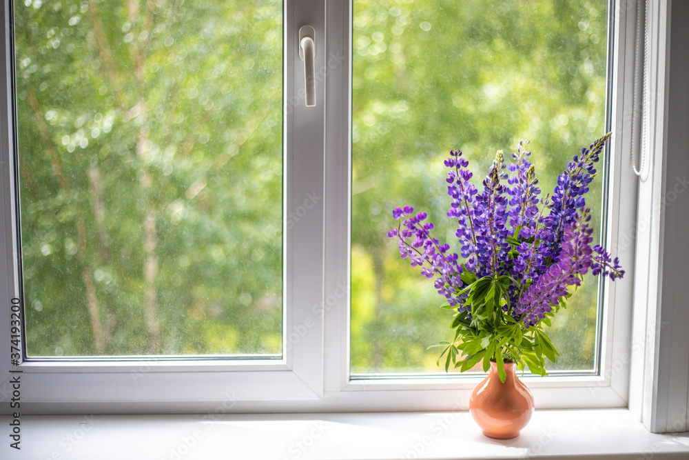 Blue and purple lupine flowers stand on a white windowsill on the window Blue and purple lupine flowers stand on a white windowsill on the window
