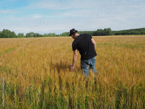 a man in a hat walks through a field of barley. harvest. farm field. © Владимир Сидоров