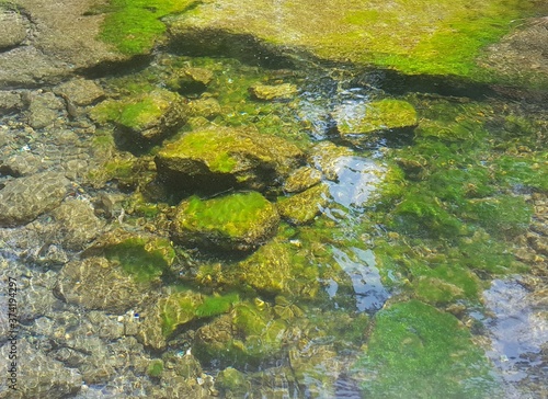 green moss on the rock