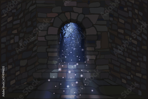 Magic moonlight. The open door of a stone house. vector illustration