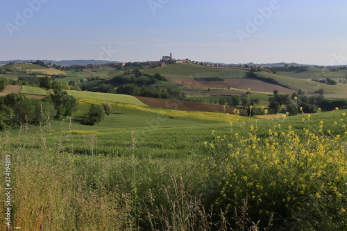 Lower Monferrato  Piedmont  Italy 