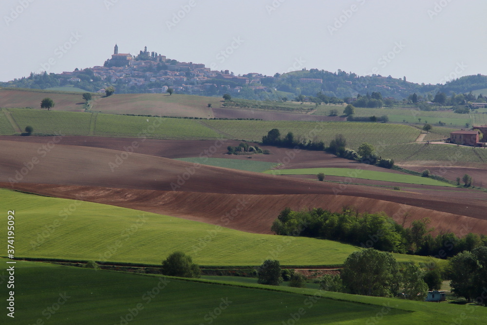 Lower Monferrato (Piedmont, Italy)
