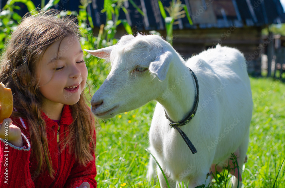 Child a girl with long hair in a meadow with green grass and a small white kid goat. Village, farm, rural concept. Children and Pets. Child a girl with long hair in a meadow with green grass and a small white kid goat. Village, farm, rural concept. Children and Pets.