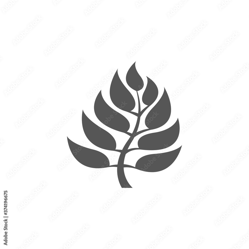 Obraz premium Abstract plant tree leaf