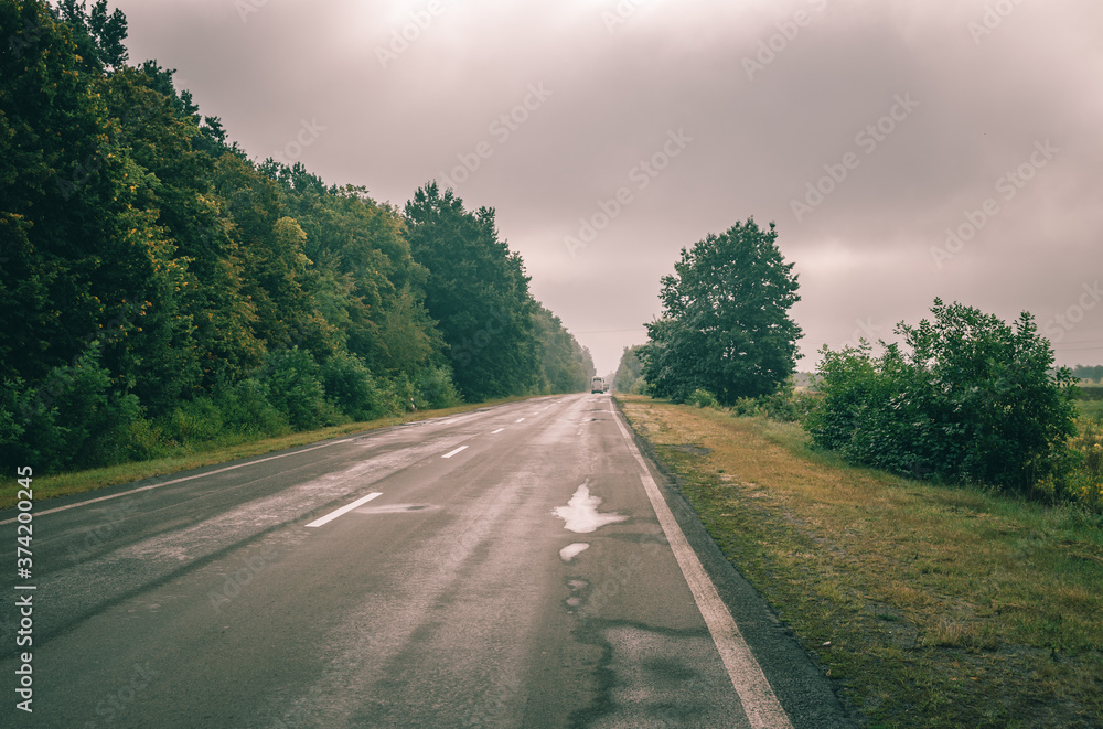 Country road with light fog after a rain