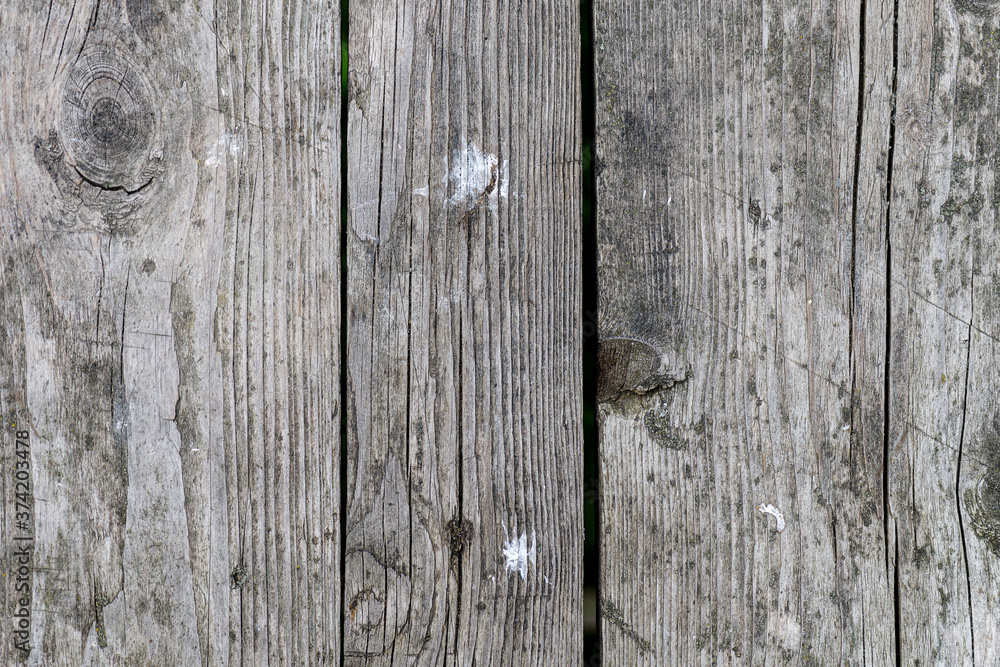 Fototapeta premium Grunge old background. Nature background. Gray background.
